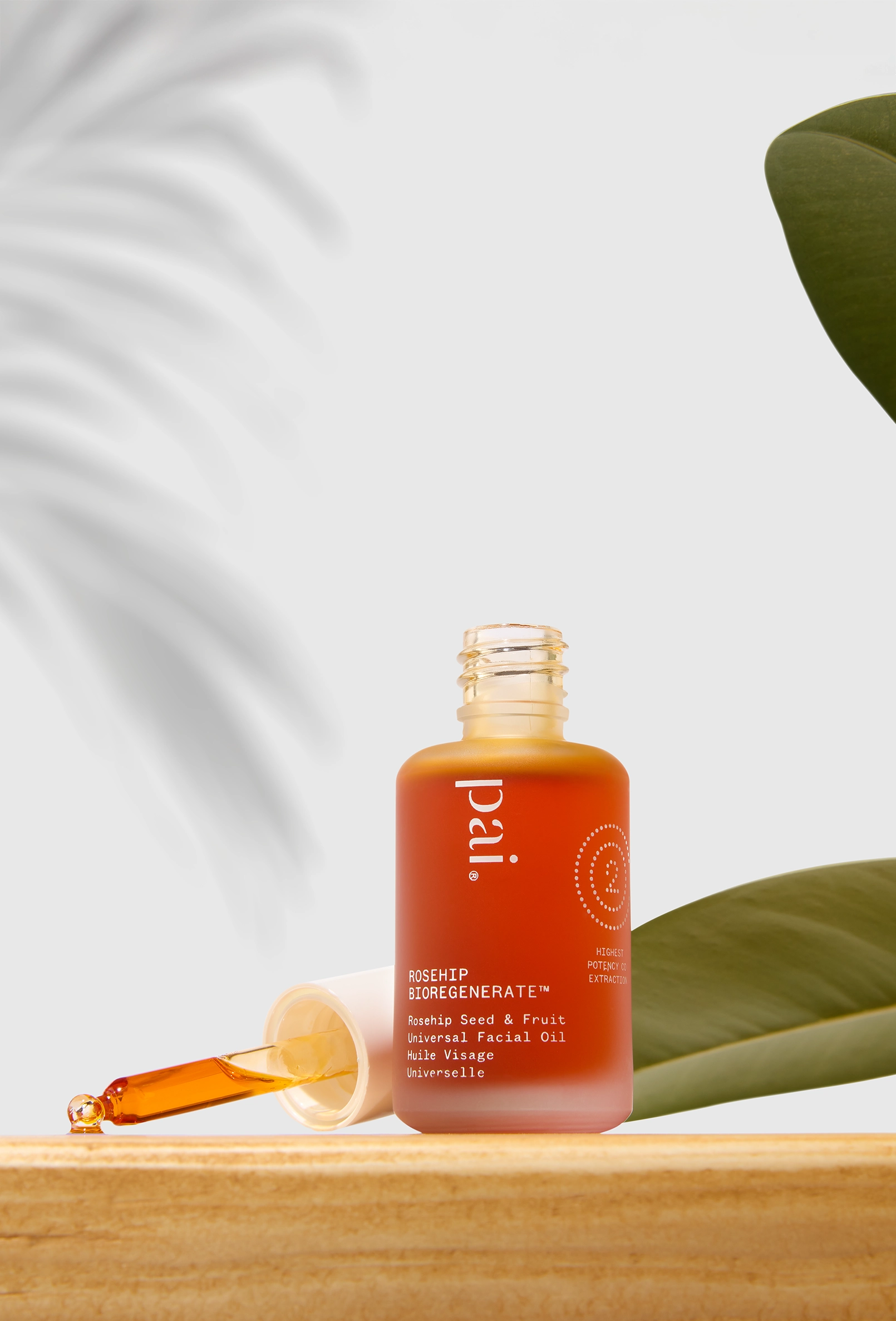 fashot-beauty-pai-oil-wooden-shelf-leaf-stilllife-nov25