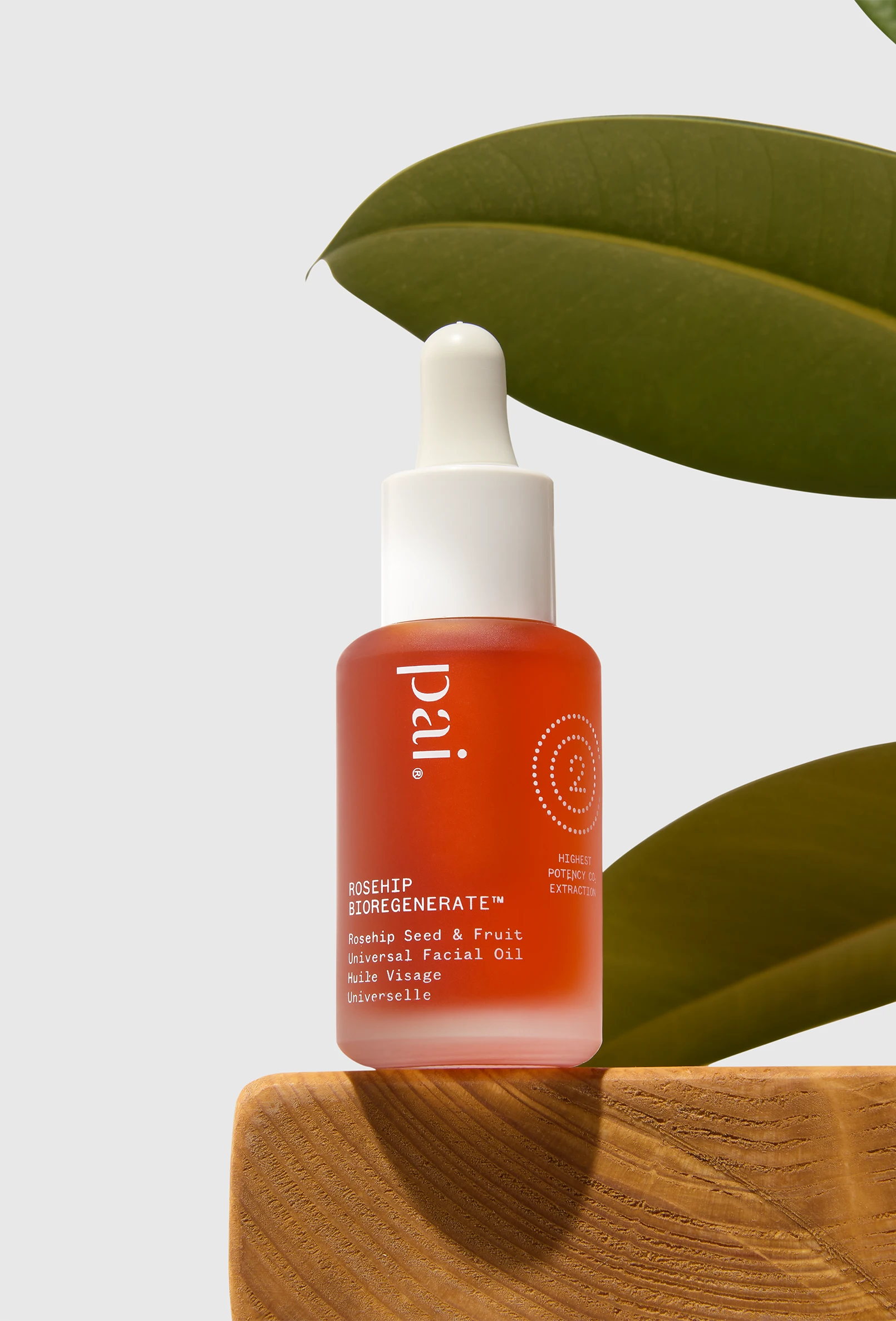 fashot-beauty-pai-oil-wooden-shelf-stilllife-nov25