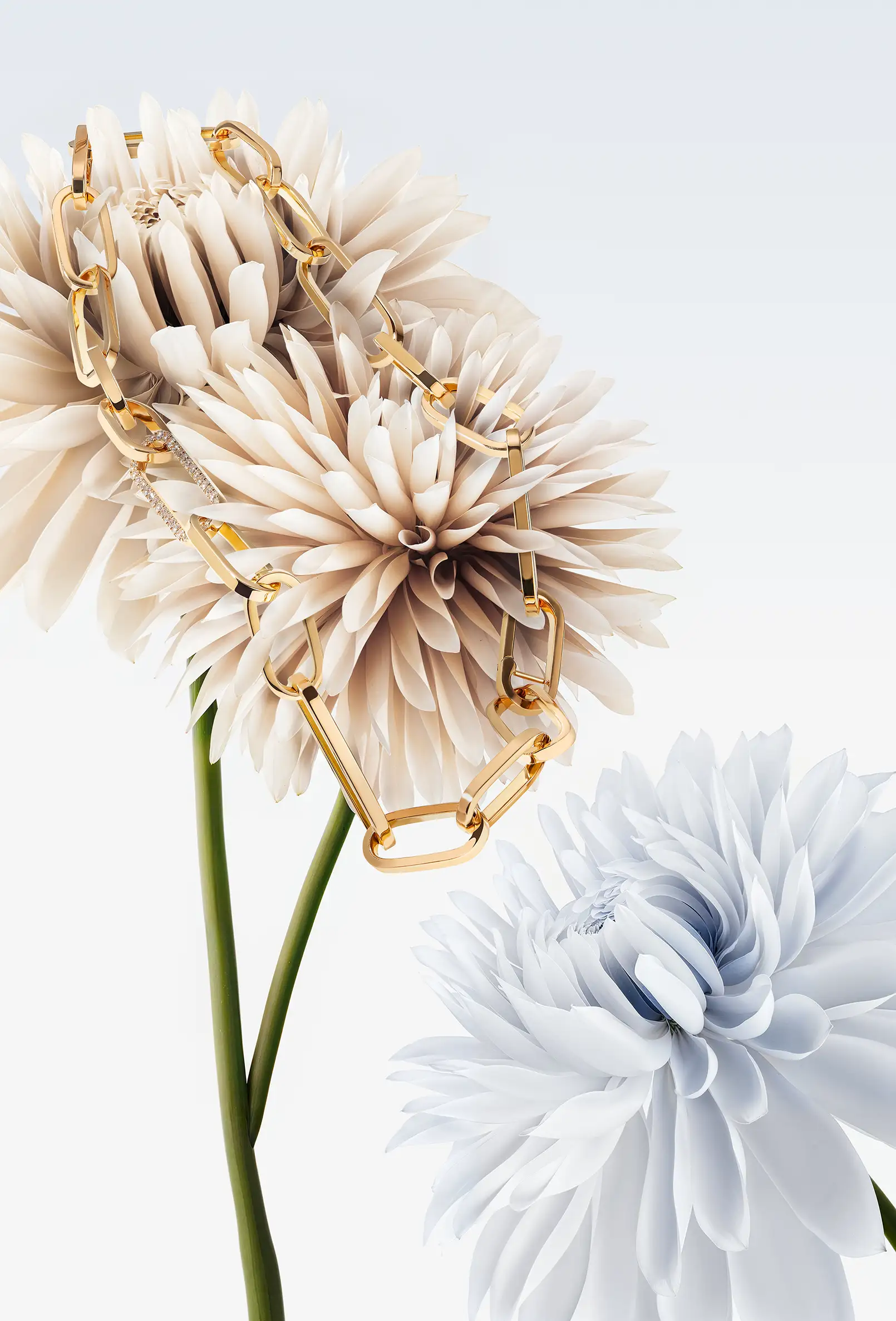 fashot-jewellery-gold-chain-flower-softlight-nov25